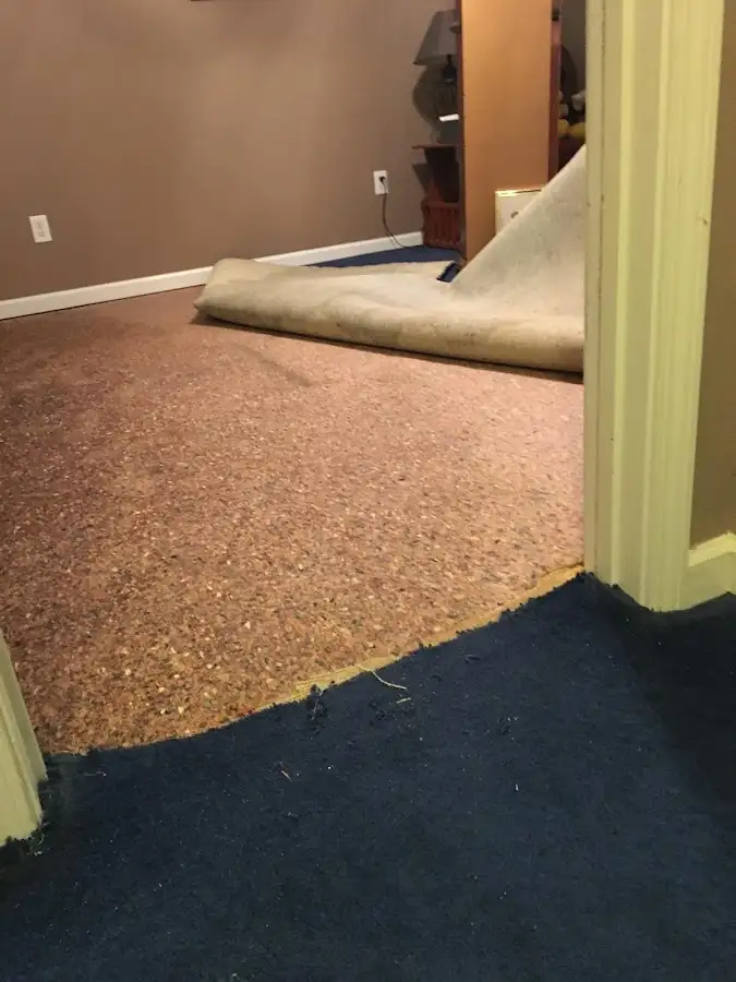 Carpet pad removal revealing water damage during Drying & Dehumidification in Mahomet
