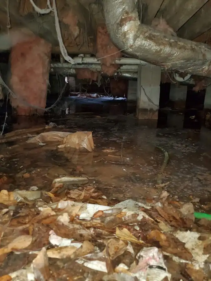 Crawl space flood assessment for Commercial Water Damage Restoration in Mahomet