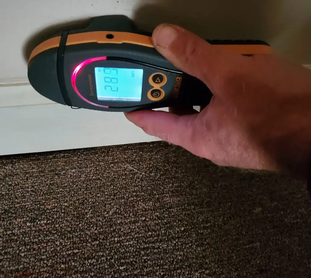 Moisture detection at baseboard during Sewage Cleanup & Sanitation in Mahomet